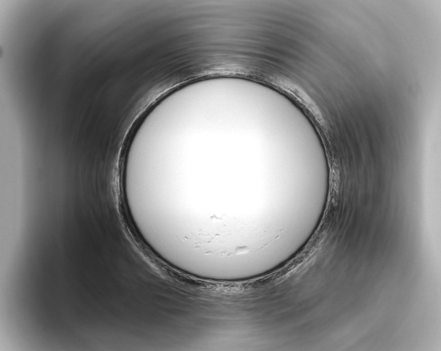 X0000093610890200710151014