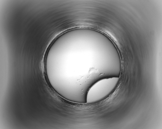 X0000093610891200710151014