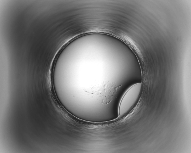 X0000093610892200710151014