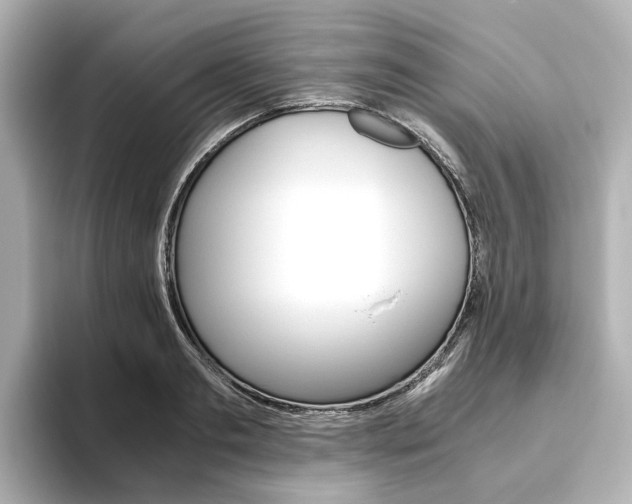 X0000093610893200710151014
