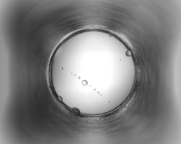 X0000093610895200710151014