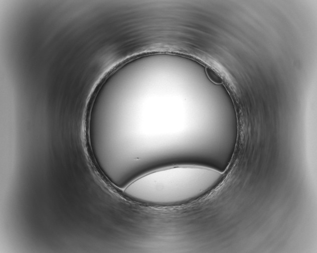 X0000093610896200710151014