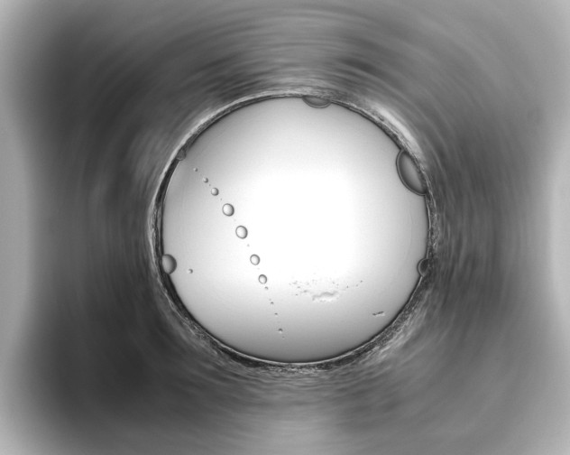 X0000093610899200710151014