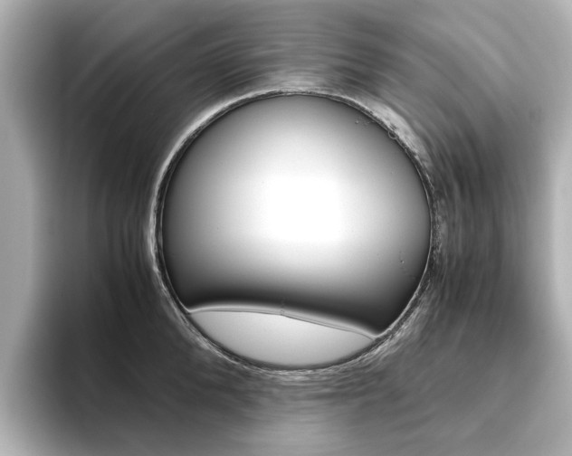 X0000093610904200710151014