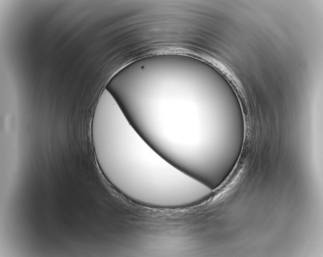 X0000093610905200710151014