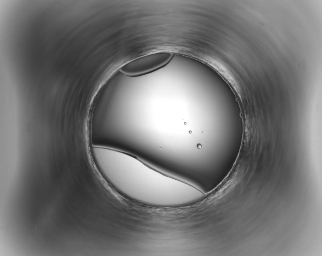 X0000093610906200710151014