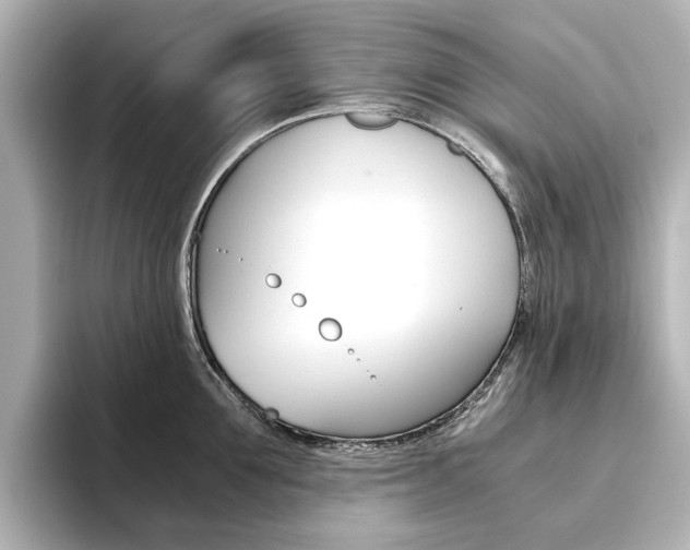 X0000093610907200710151014