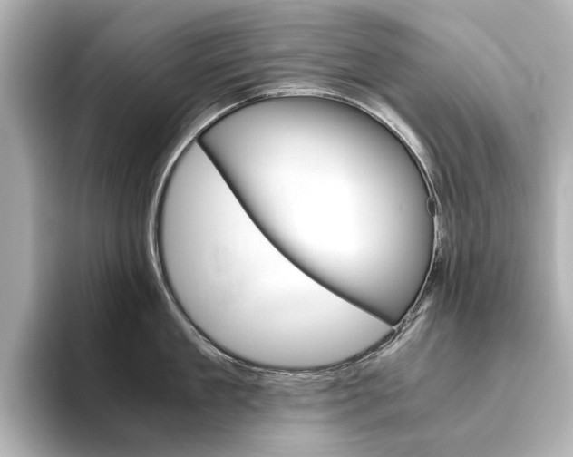 X0000093610909200710151014