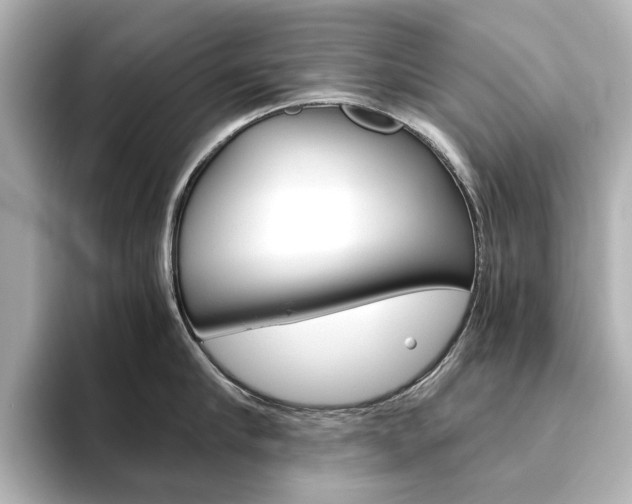 X0000093610910200710151014