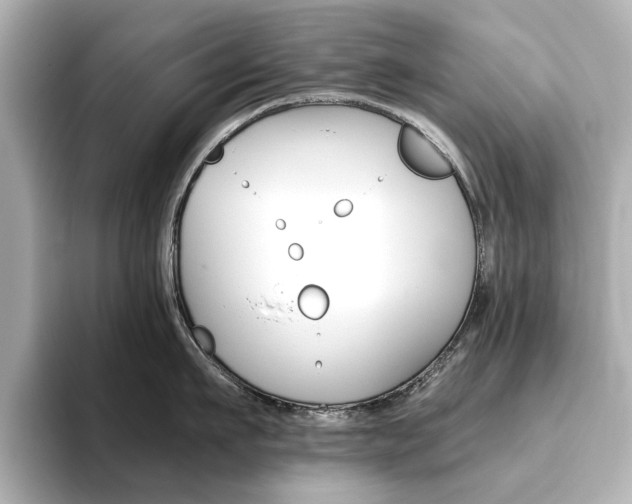 X0000093610911200710151014
