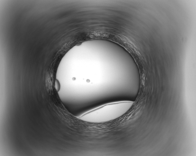 X0000093610915200710151013