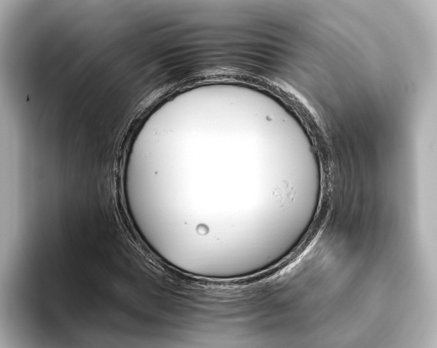 X0000093610921200710151013