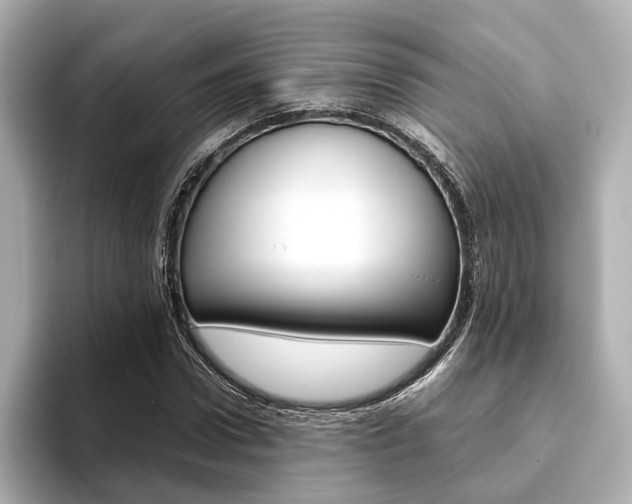 X0000093610922200710151013