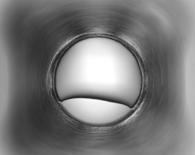 X0000093610925200710151013