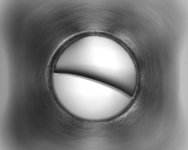 X0000093610926200710151013