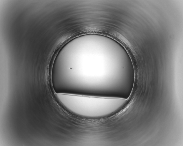 X0000093610930200710151013
