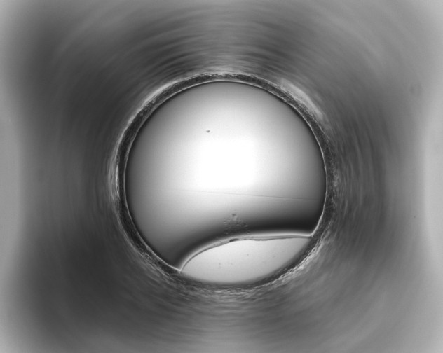 X0000093610934200710151013