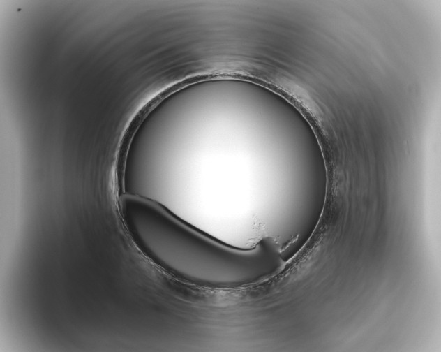 X0000093610936200710151013