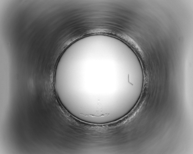 X0000093610937200710151013