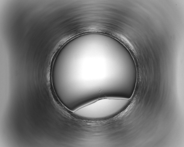 X0000093610938200710151013