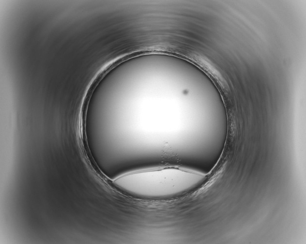 X0000093610940200710151013