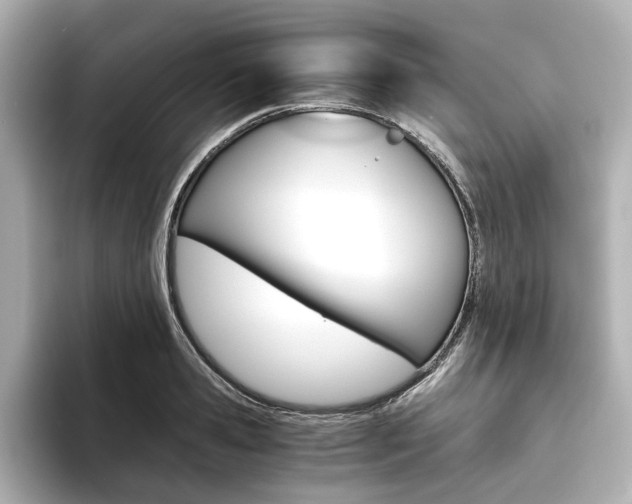 X0000093610941200710151013