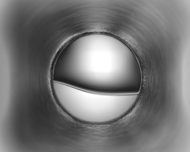 X0000093610942200710151013