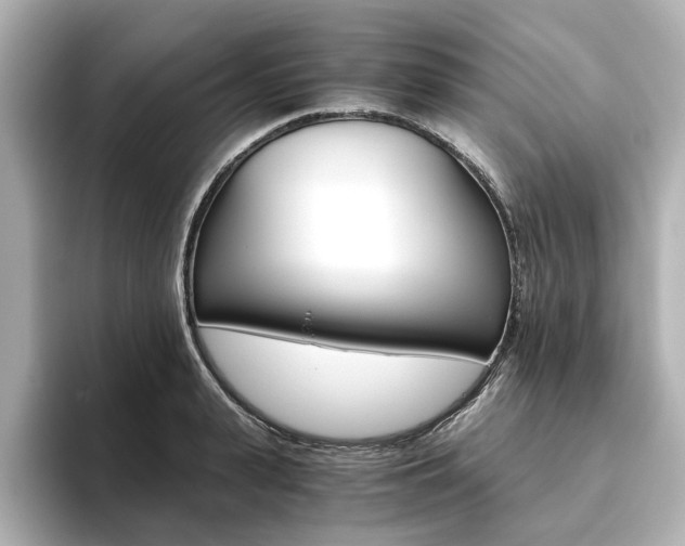 X0000093610943200710151013