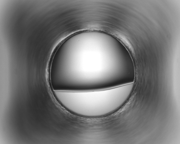 X0000093610944200710151013