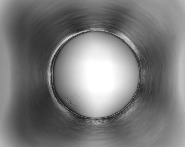 X0000093610955200710151013