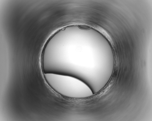 X0000093610958200710151013