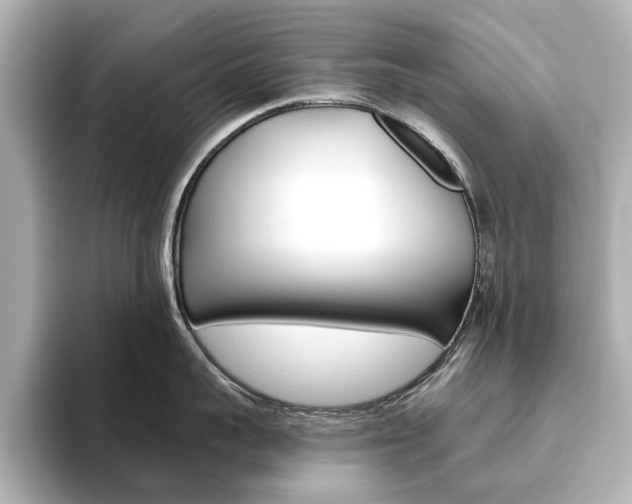X0000093610959200710151014