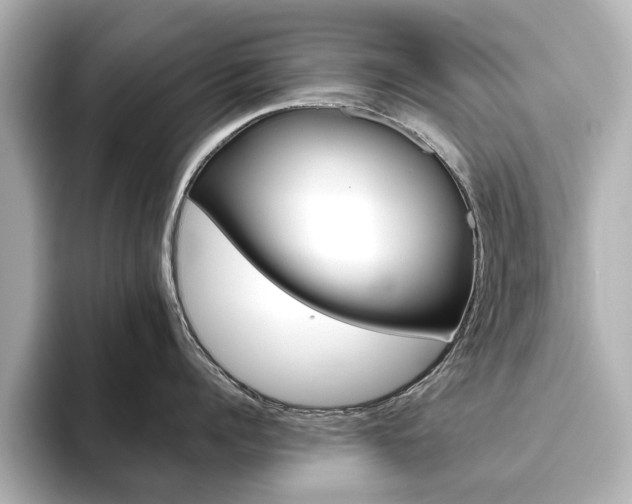 X0000093610960200710151014