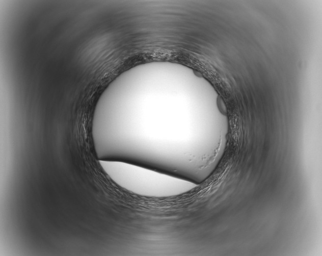 X0000093610962200710151013