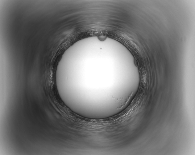 X0000093610964200710151013