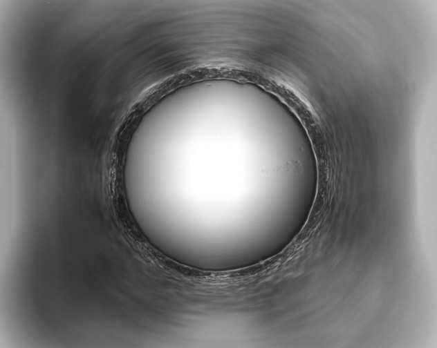 X0000093610968200710151013