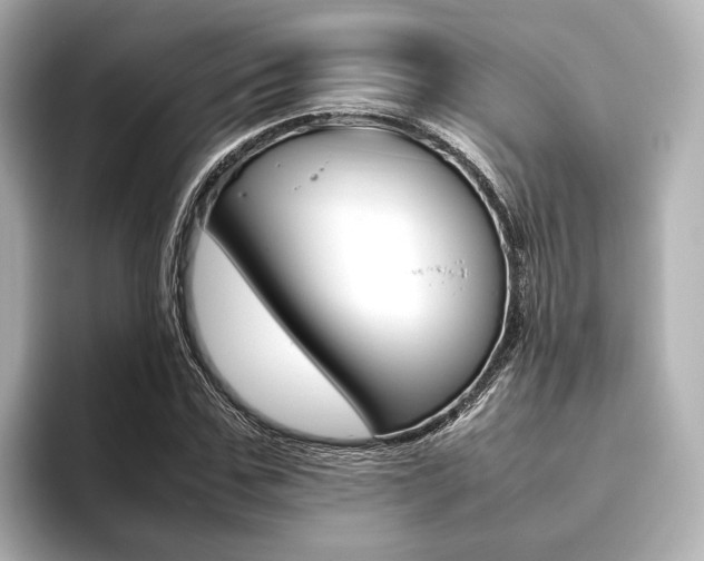 X0000093610971200710151013
