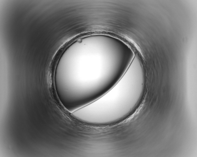 X0000093610973200710151013