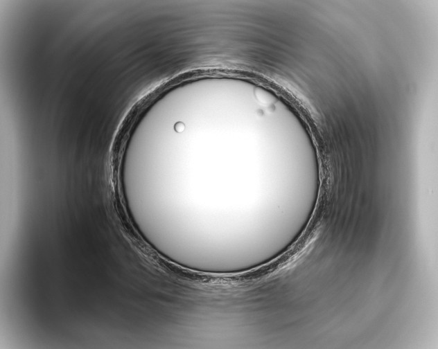 X0000093610974200710151013