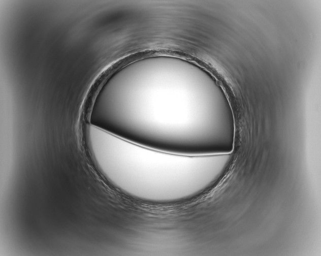 X0000093610975200710151013