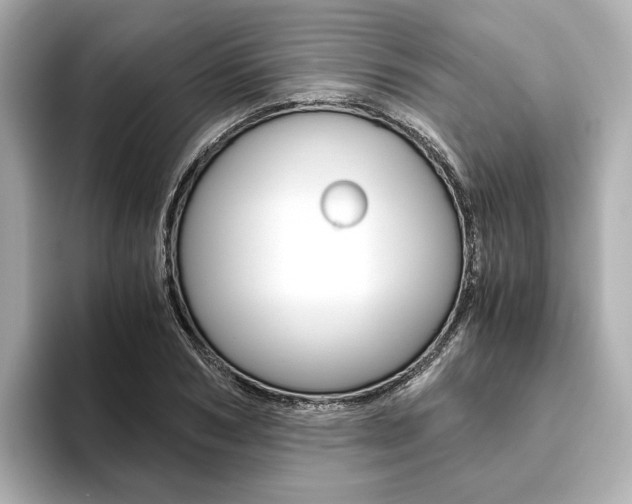 X0000093610978200710151013