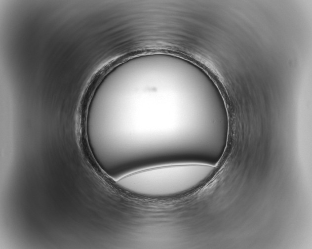 X0000093610979200710151013