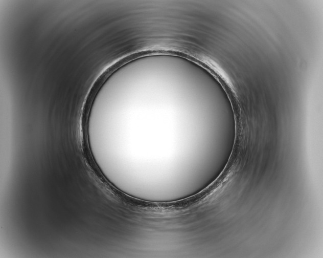 X0000093610980200710151013