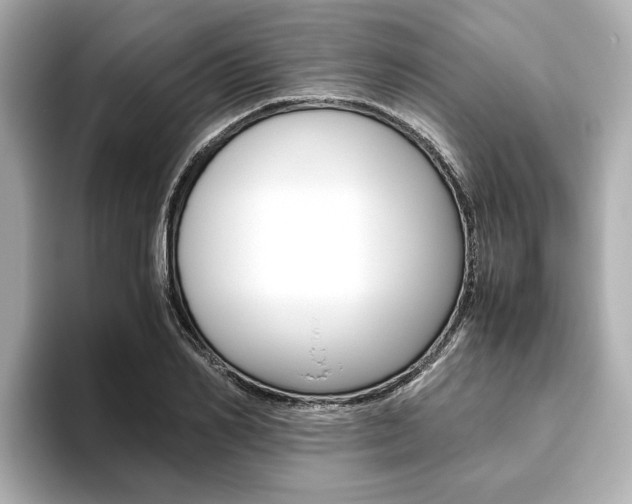 X0000093610982200710151013