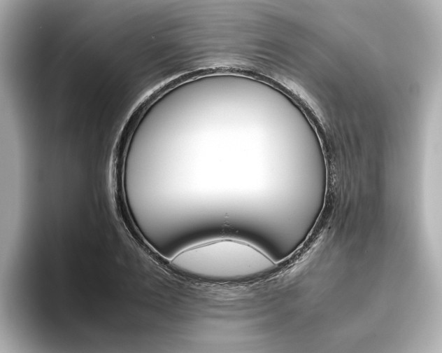 X0000093610983200710151013