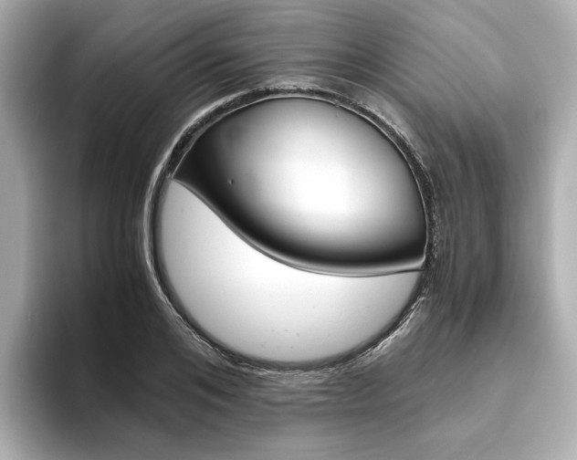 X0000093610984200710151013