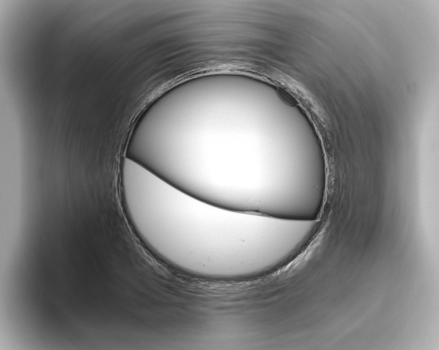 X0000093610985200710151013