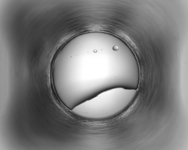 X0000093610986200710151013