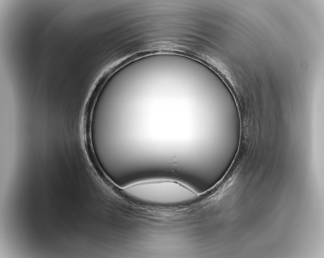 X0000093610987200710151013