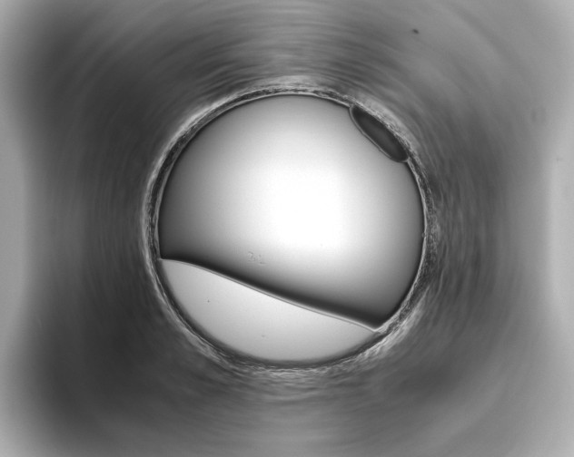 X0000093610989200710151013